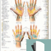 Láminas Terapias Verdes: Reflexología de las manos