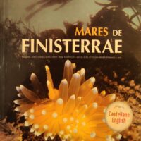Mares de Finisterrae