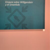 (95)Yo amenazado­–El. Ensayos sobre Wittgenstein y el sinsentido