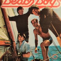 (115)The Beach boys. Surf trip
