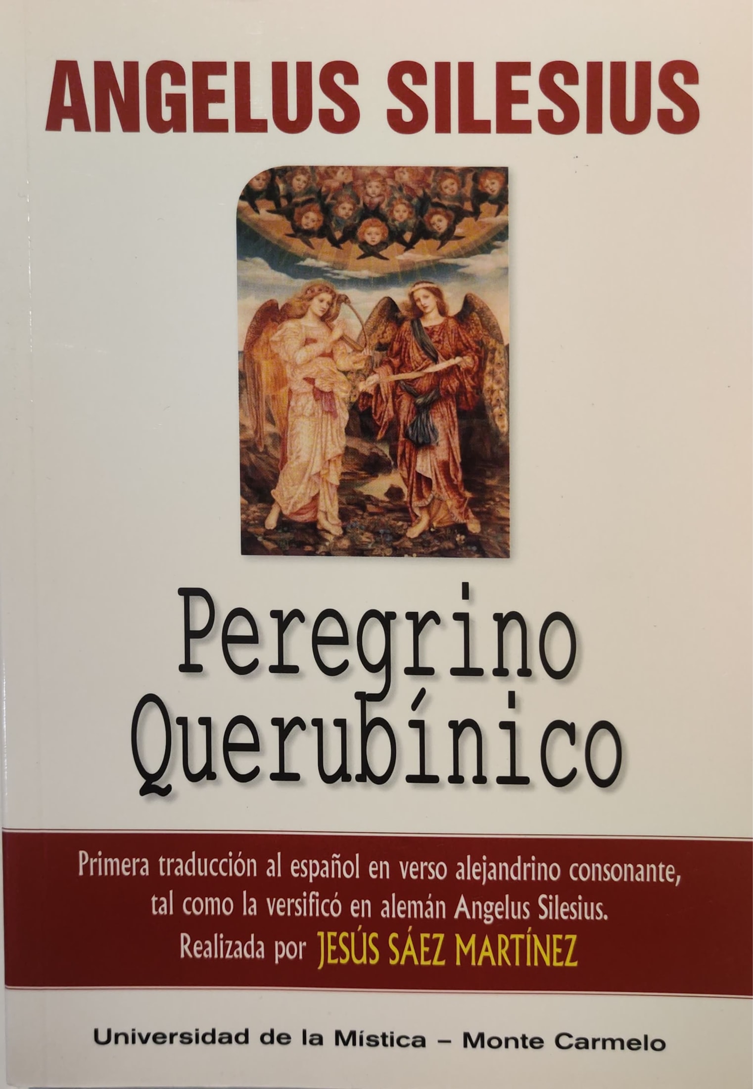 Peregrino Querubínico 1 9788483534007