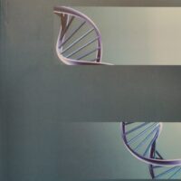 Debate en bioética: identidad del paciente y praxis médica