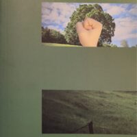 Ecosocialismo: la alternativa radical a la catástrofe ecológica capitalista